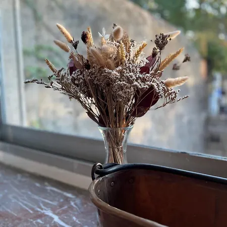 Salutbb D'hote Carcassonne