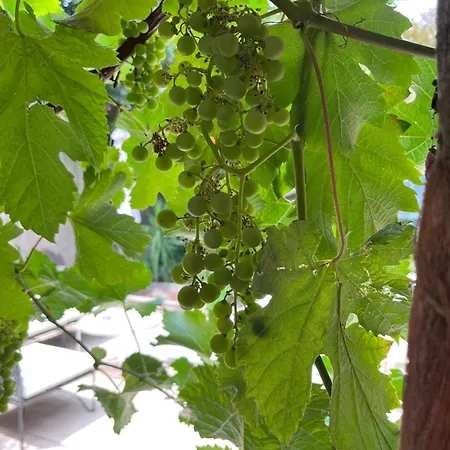 Salutbb D'hote Nocleg ze śniadaniem 4*