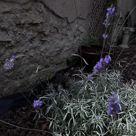 Nocleg ze śniadaniem Salutbb D'hote 4*