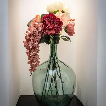 Salutbb D'hote Carcassonne